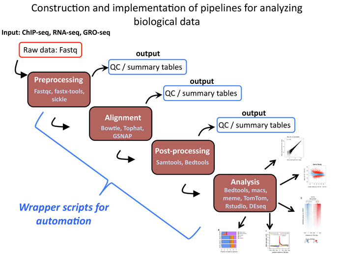 next generation sequencing workflow